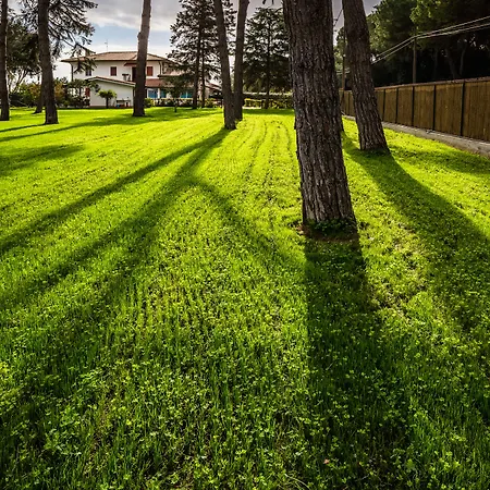 Bed and breakfast White Sabaudia