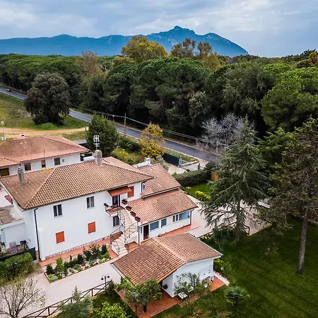 Bed and breakfast White 4*