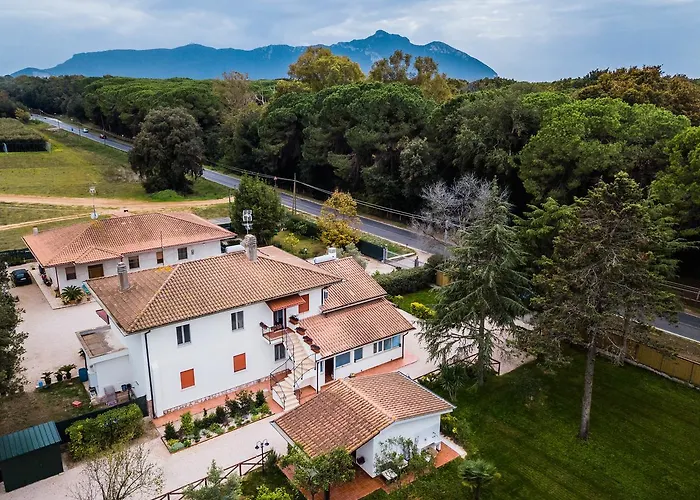 Bed & Breakfast White 4*