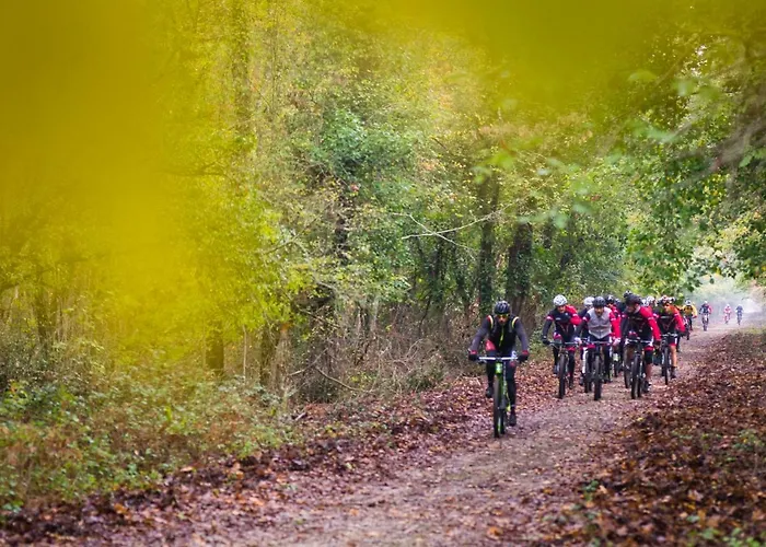 White Bed & Breakfast Sabaudia